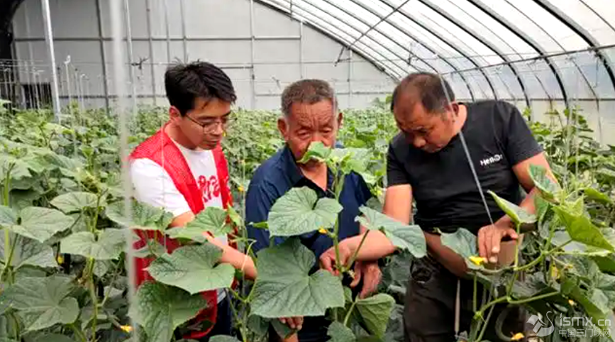 ������h�F(xi��n)���r(n��ng)�I(y��)�Ƽ�ʾ���@�߲˻��������Ƽ����ɆT�c����ؓ(f��)؟(z��)�˜�ͨ��h�Ƽ��ֹ��D