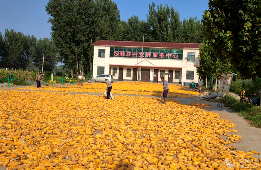 ���l(xi��ng)�з���h�����l(xi��ng)�n�f��Ⱥ�����Ļ��V��(ch��ng)��������Z���_�Ɣz